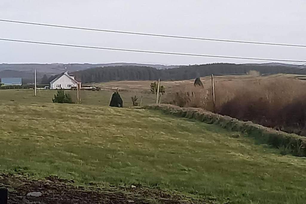 Tadgh'S Cottage Ennis Dış mekan fotoğraf